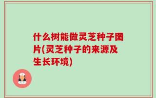 什么树能做灵芝种子图片(灵芝种子的来源及生长环境)