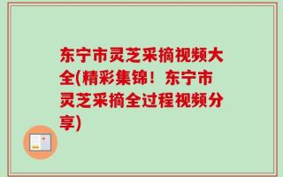 东宁市灵芝采摘视频大全(精彩集锦！东宁市灵芝采摘全过程视频分享)