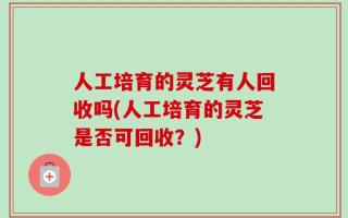 人工培育的灵芝有人回收吗(人工培育的灵芝是否可回收？)