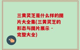 三黄灵芝是什么样的图片大全集(三黄灵芝的形态与图片展示 - 完整大全)