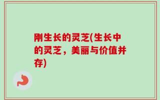 刚生长的灵芝(生长中的灵芝，美丽与价值并存)