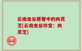 云南虫谷原著中的肉灵芝(云南虫谷珍宝：肉灵芝)