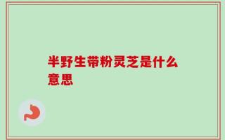 半野生带粉灵芝是什么意思