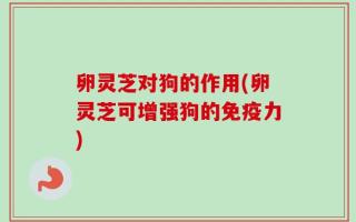 卵灵芝对狗的作用(卵灵芝可增强狗的免疫力)