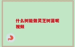 什么树能做灵芝树苗呢视频