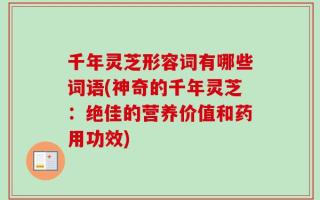 千年灵芝形容词有哪些词语(神奇的千年灵芝：绝佳的营养价值和药用功效)