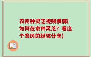 农民种灵芝视频横屏(如何在家种灵芝？看这个农民的经验分享)