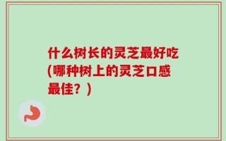 什么树长的灵芝最好吃(哪种树上的灵芝口感最佳？)