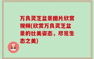 万良灵芝盆景图片欣赏视频(欣赏万良灵芝盆景的壮美姿态，尽览生态之美)