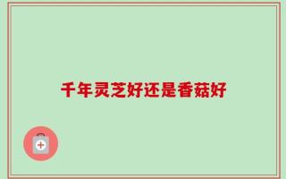 千年灵芝好还是香菇好