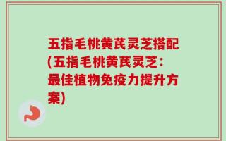 五指毛桃黄芪灵芝搭配(五指毛桃黄芪灵芝：最佳植物免疫力提升方案)