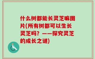 什么树都能长灵芝嘛图片(所有树都可以生长灵芝吗？——探究灵芝的成长之谜)
