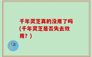 千年灵芝真的没用了吗(千年灵芝是否失去效用？)