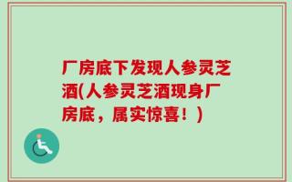 厂房底下发现人参灵芝酒(人参灵芝酒现身厂房底，属实惊喜！)