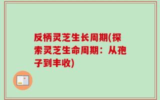 反柄灵芝生长周期(探索灵芝生命周期：从孢子到丰收)