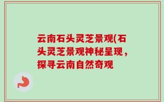 云南石头灵芝景观(石头灵芝景观神秘呈现，探寻云南自然奇观