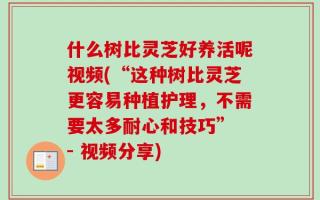 什么树比灵芝好养活呢视频(“这种树比灵芝更容易种植护理，不需要太多耐心和技巧” - 视频分享)