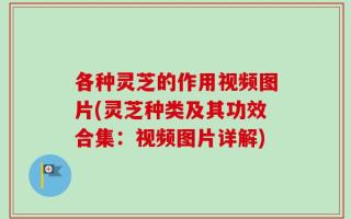 各种灵芝的作用视频图片(灵芝种类及其功效合集：视频图片详解)