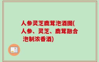 人参灵芝鹿茸泡酒图(人参、灵芝、鹿茸融合 泡制浓香酒)