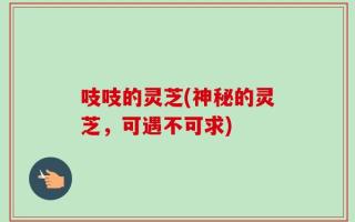 吱吱的灵芝(神秘的灵芝，可遇不可求)