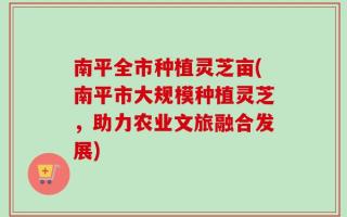 南平全市种植灵芝亩(南平市大规模种植灵芝，助力农业文旅融合发展)