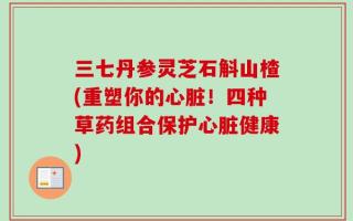 三七丹参灵芝石斛山楂(重塑你的心脏！四种草药组合保护心脏健康)