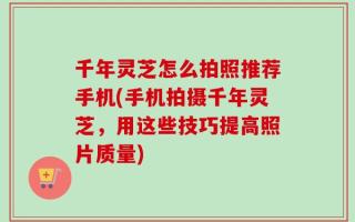 千年灵芝怎么拍照推荐手机(手机拍摄千年灵芝，用这些技巧提高照片质量)
