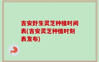 吉安野生灵芝种植时间表(吉安灵芝种植时刻表发布)