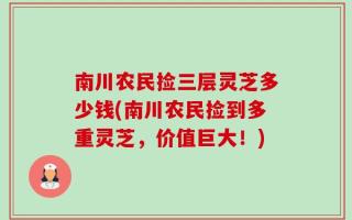 南川农民捡三层灵芝多少钱(南川农民捡到多重灵芝，价值巨大！)