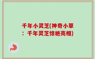 千年小灵芝(神奇小草：千年灵芝惊艳亮相)