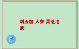 刺五加 人参 灵芝泡茶