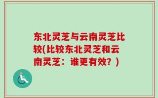 东北灵芝与云南灵芝比较(比较东北灵芝和云南灵芝：谁更有效？)