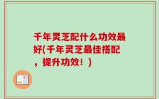 千年灵芝配什么功效最好(千年灵芝最佳搭配，提升功效！)