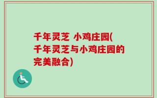 千年灵芝 小鸡庄园(千年灵芝与小鸡庄园的完美融合)