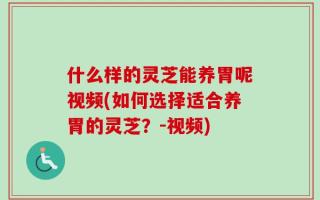 什么样的灵芝能养胃呢视频(如何选择适合养胃的灵芝？-视频)
