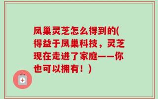 凤巢灵芝怎么得到的(得益于凤巢科技，灵芝现在走进了家庭——你也可以拥有！)