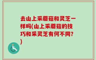去山上采蘑菇和灵芝一样吗(山上采蘑菇的技巧和采灵芝有何不同？)