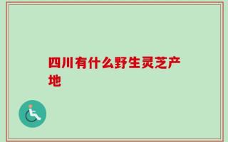 四川有什么野生灵芝产地