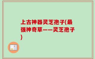 上古神器灵芝孢子(最强神奇草——灵芝孢子)