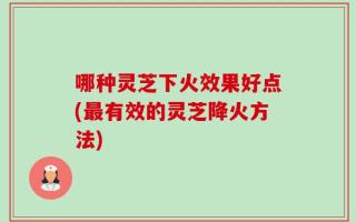 哪种灵芝下火效果好点(最有效的灵芝降火方法)