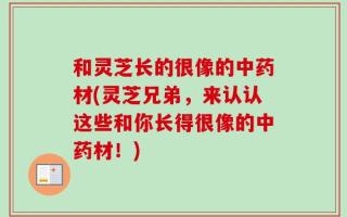 和灵芝长的很像的中药材(灵芝兄弟，来认认这些和你长得很像的中药材！)
