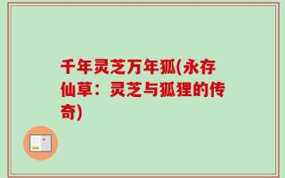 千年灵芝万年狐(永存仙草：灵芝与狐狸的传奇)