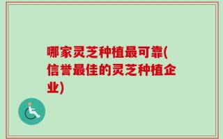 哪家灵芝种植最可靠(信誉最佳的灵芝种植企业)