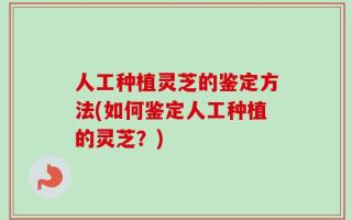人工种植灵芝的鉴定方法(如何鉴定人工种植的灵芝？)