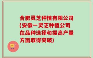 合肥灵芝种植有限公司(安徽一灵芝种植公司在品种选择和提高产量方面取得突破)