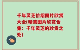 千年灵芝价绍图片欣赏大全(精美图片欣赏合集：千年灵芝的珍贵之处)