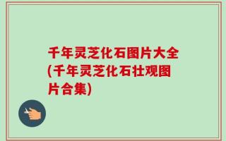 千年灵芝化石图片大全(千年灵芝化石壮观图片合集)