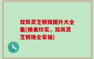 双凤灵芝铜镜图片大全集(精美珍实，双凤灵芝铜镜全家福)