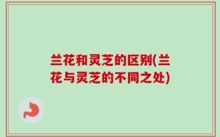 兰花和灵芝的区别(兰花与灵芝的不同之处)