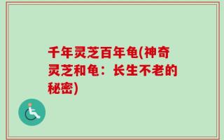 千年灵芝百年龟(神奇灵芝和龟：长生不老的秘密)